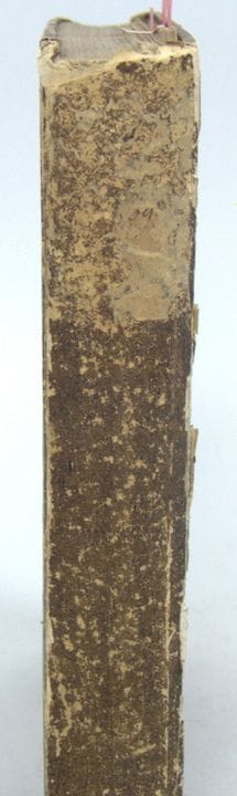 Provinzial-Blatt für die Badische Mittelrheinische