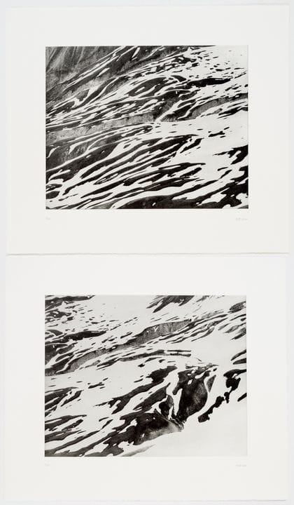 圭多·巴塞利亚（1953）
《Terrenzlas》I-II，双联画 
 
 纸本太阳蚀刻版画 2/