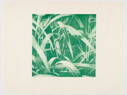 弗朗茨·格尔奇（Franz GERTSCH，1930-2022）
《Gräser》 
 
 纸本彩色