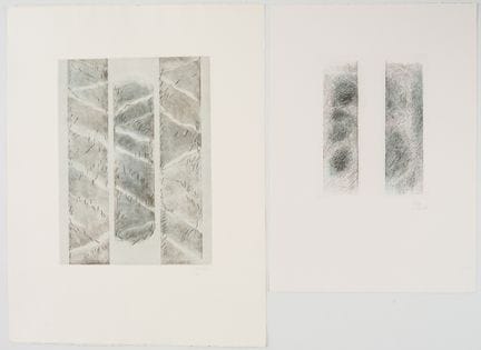 彼得·斯坦（Peter STEIN，1922-2015）
2幅版画：
《三条透明的轨迹》（Drei 