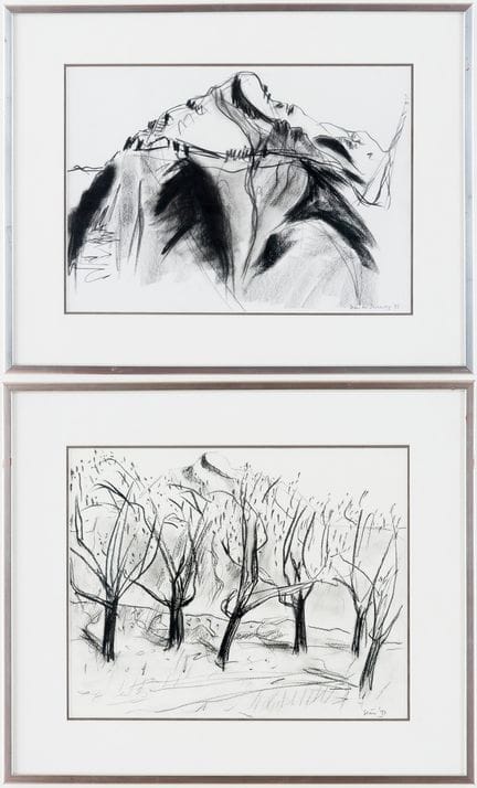肖恩·麦克斯威尼（Seán MCSWEENEY，1935-2018）
抽象风景画 
 
 2幅素描，