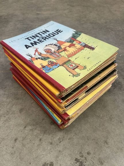 TINTIN - Set di 17 album così come sono
Alcuni dor