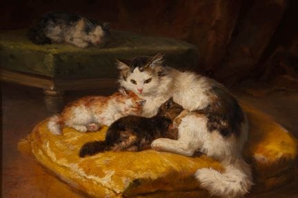 Marie Yvonne LAUR (1879–1943).
A Cat and Her Three
