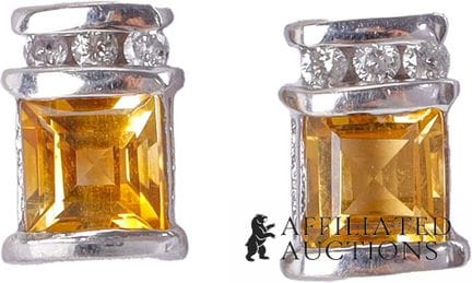 Boucles d'oreilles à clous en or blanc 10 carats a