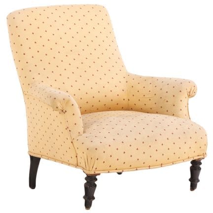 FAUTEUILS DE BIBLIOTHÈQUE FRANÇAIS DE STYLE NAPOLÉ
