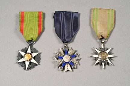 FRANCE. Ordre du Mérite de la Santé Publique, chev