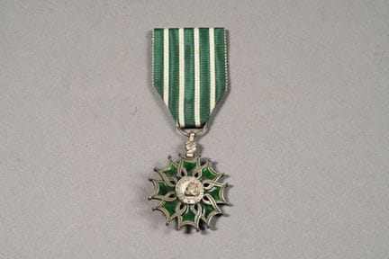 FRANCE. Ordre du Mérite des Arts et Lettres, cheva