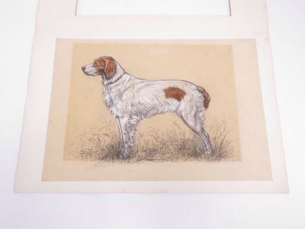 安德烈·科洛（André COLLOT，1897-1976）。《布列塔尼猎犬》。 赭色纸上粉彩画，局