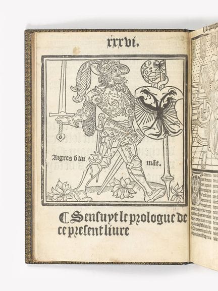 [BERINUS]. What follows is a description, in the f