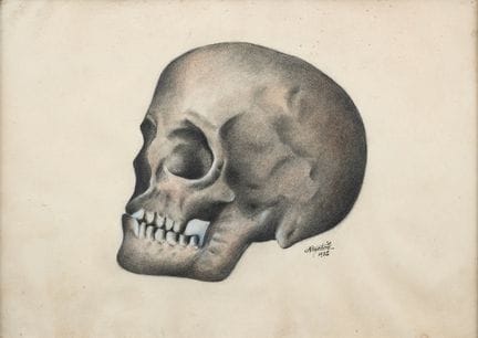 École Moderne
Vanité
Dessin au fusain et rehauts d