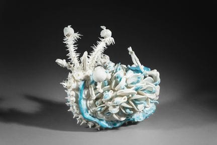 Daekyun SEO (geb. 1980)
Meereschnecke, aus der Sam