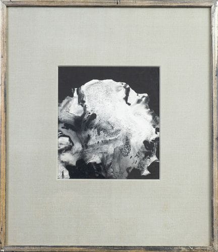 Greig DAVID LAIDLAW (nacido en 1985)
La creación, 