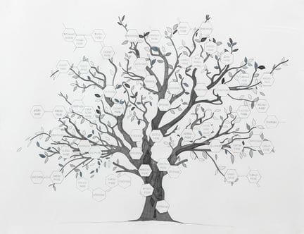 Jeanne SUSPLUGAS (née en 1974)
Arbre généalogique
