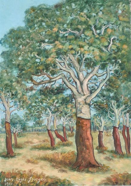 Jean-Roger SOURGEN (1883–1978)
Die Korkeichen, 196