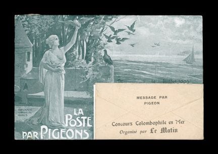La Poste par pigeon. Concours de Colombophilie en 