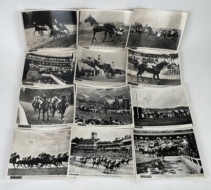 Pferdesport / Auteuil / Deauville / Longchamp / Vi