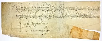 HENRI IV. Protection et Sauvegarde spéciale, au no