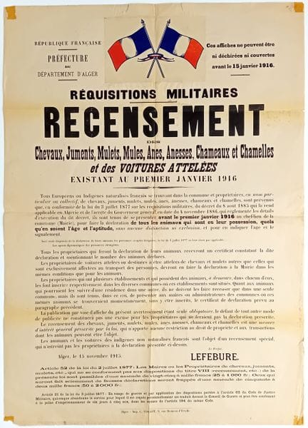 ALGÉRIE FRANÇAISE. CHAMEAUX. Guerre 1914/15. Réqui