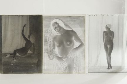 [PHOTOGRAPHY]
Bellows camera and set of glass phot
