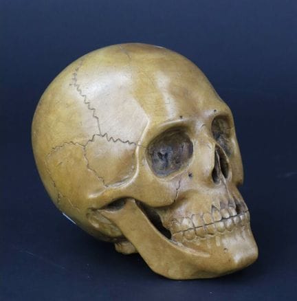 MEMENTO MORI
Carved wooden crane
Height: 14 cm - L