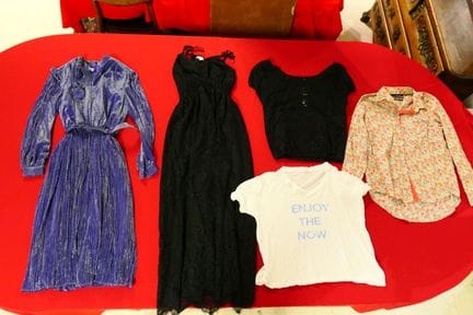 一套服装，包括：两条女童裙子、七件连衣裙、两件T恤、一件长衫、一件女式衬衫和一件黑色蕾丝上衣