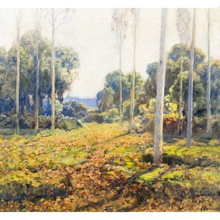 Joaquim Vancells Vieta (Barcelona, 1866-1942)
Pais