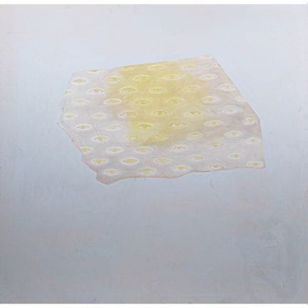Rien Bout (Rotterdam, Paises Bajos, 1937-2003)
Tap
