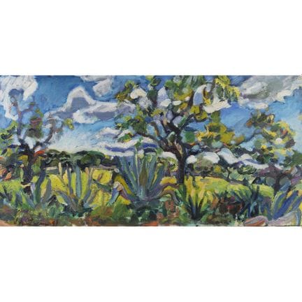 Jordi Santacana (Vilanova i la Geltrú, 1965)
Paisa
