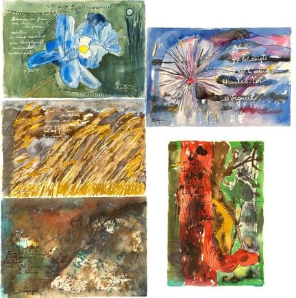 Sandra JAYAT (1939-2025). Cinque poesie illustrate