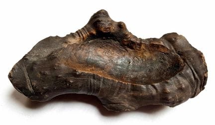 Joko KNEZEVIC (1907-1988). CENDRIER sculpté dans u