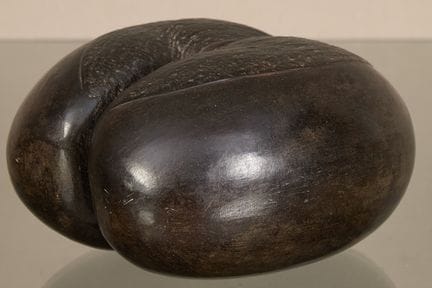 Seychelles
Cocofesse  Sea coconut seed
Dimensions: