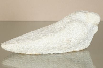 Ivan Messac (born 1948)
Bird or Reclining Woman  D
