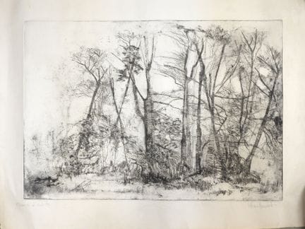Paisaje forestal. Prueba de artista. Firma por des