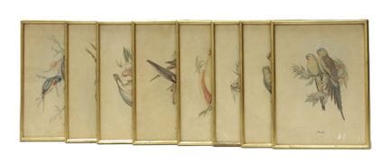 [ornitología] John GOULD (1804 - 1881), según. Las