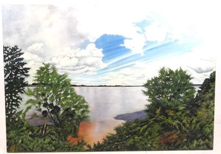 DOER (siglo XX): Vista del lago. Óleo sobre lienzo