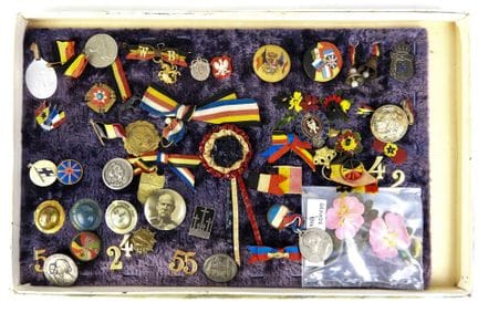 INSIGNIA. Collection of approximately 55 day badge