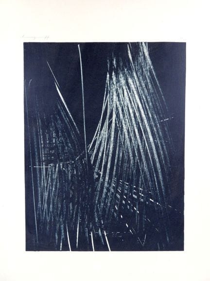 Hans HARTUNG (1904 - 1989) 
L 1977-5. 
Lithographi