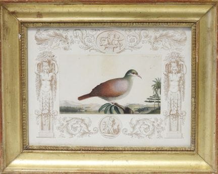 Antoine Charles VAUTHIER (1790 - 1879)
Colombe sur