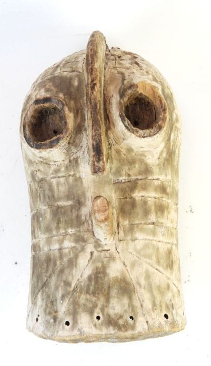 LUBA, République Démocratique du Congo.
 Bois, pig