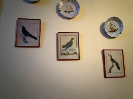 [Ornithologie]. MARTINET (François Nicolas) : Pie 