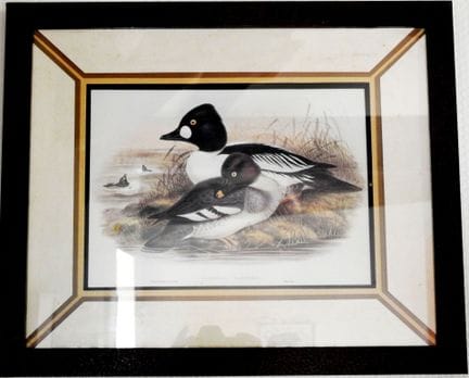 Set of 17 framed pieces, including: color reproduc