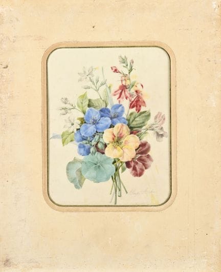 Marie Alexandrine Olympe ARSON (1814–ca. 1870)
Blu