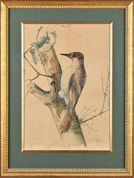 Charles GAUDELET (1817–1870)
Specht auf einem Baum