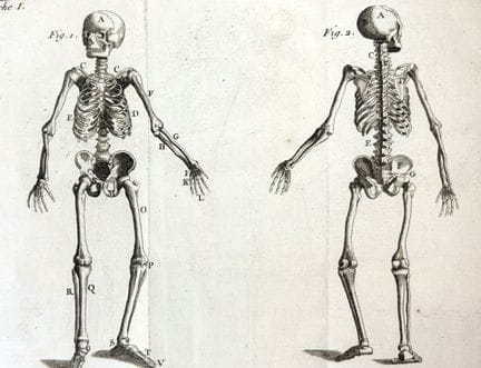 [医学] [PERSON (克劳德)]。《合理解剖学新要义》。巴黎，Desaint &amp; Sa
