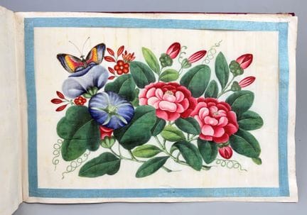 [中国] [广州] 一册包含12幅水粉画的画册，画作绘于所谓“髓纸”（旧称“米纸”）上，描绘了蝴蝶翩