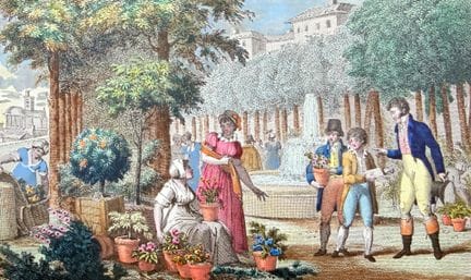 [Botánica] PUJOULX (Jean-Baptiste). Paseos por el 
