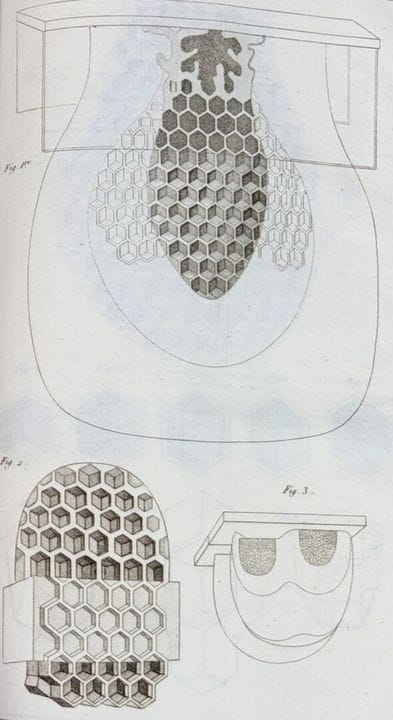 [Apicultura] HUBER (François). Nuevas observacione