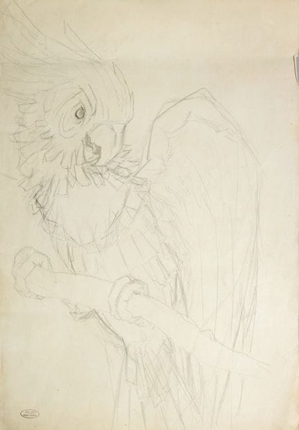 André DERAIN (1880-1954).
Perroquet. 
Dessin au cr