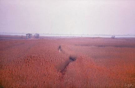 José NICOLAS (né en 1956)
Petite Camargue, La Sagn