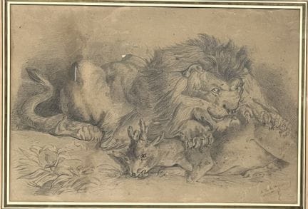 M. de LAFONTAINE
Lion dévorant une antilope
Dessin